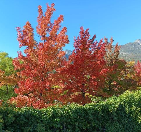 3d675a01-1d8b-4eb8-bd34-536f1545084f