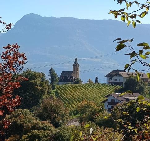 f2c9cf8e-7dc2-4c84-a21a-642ff3dc4c9e