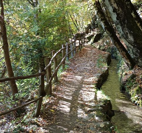 228d7980-ebcf-4d46-811a-02557a53655f