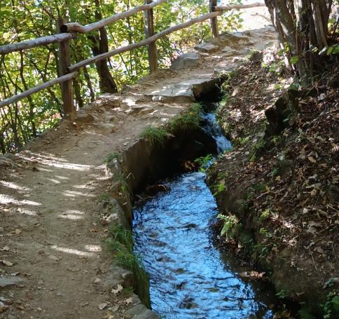 41c08d2d-7376-42f2-b837-ed07e73d44c0