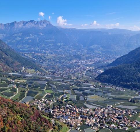 eeec5bd7-7456-4b80-8691-0739ff4cba59