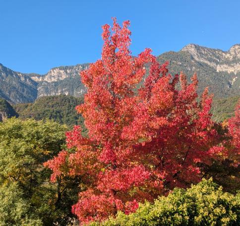 PXL20251013075555887-min