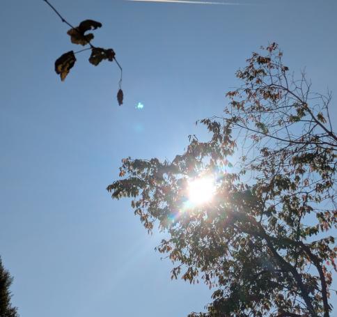 PXL20251013082307181-min