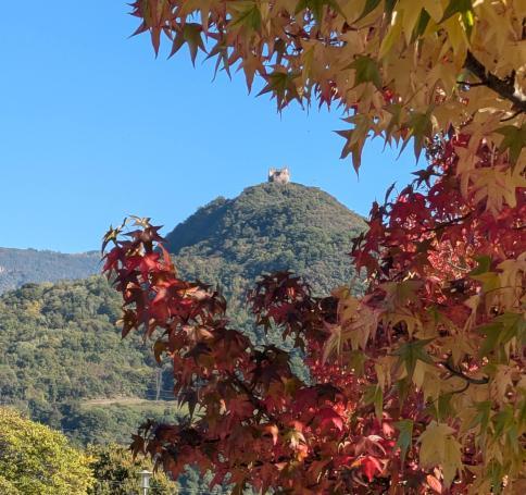 PXL20251013133134393-min