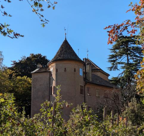 PXL20251014074856777-min