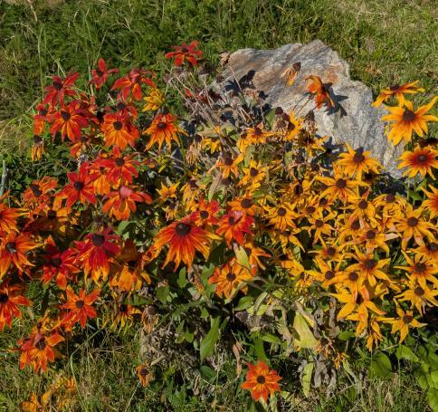 PXL20251014081620918-min