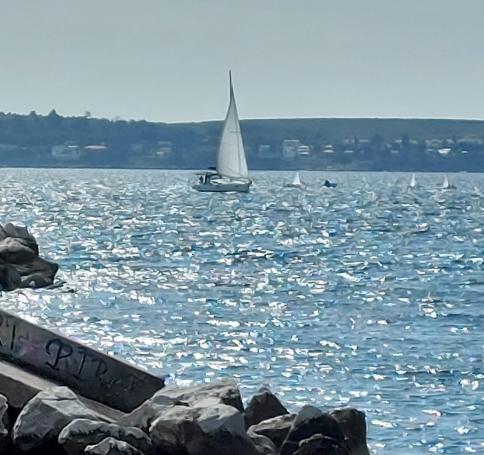 d982b762-3219-48dd-b629-16cf10d183bf