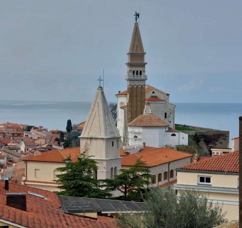 fc46de3a-a234-4c0f-88e8-026198597288