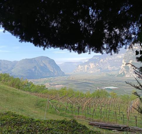 102b447a-5c6d-4d7f-be6e-824408041dcc