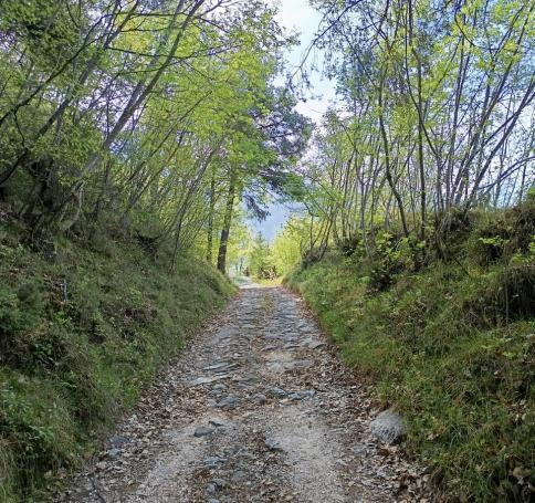 241f9d72-e7b3-466c-8c9f-b077cd22f839